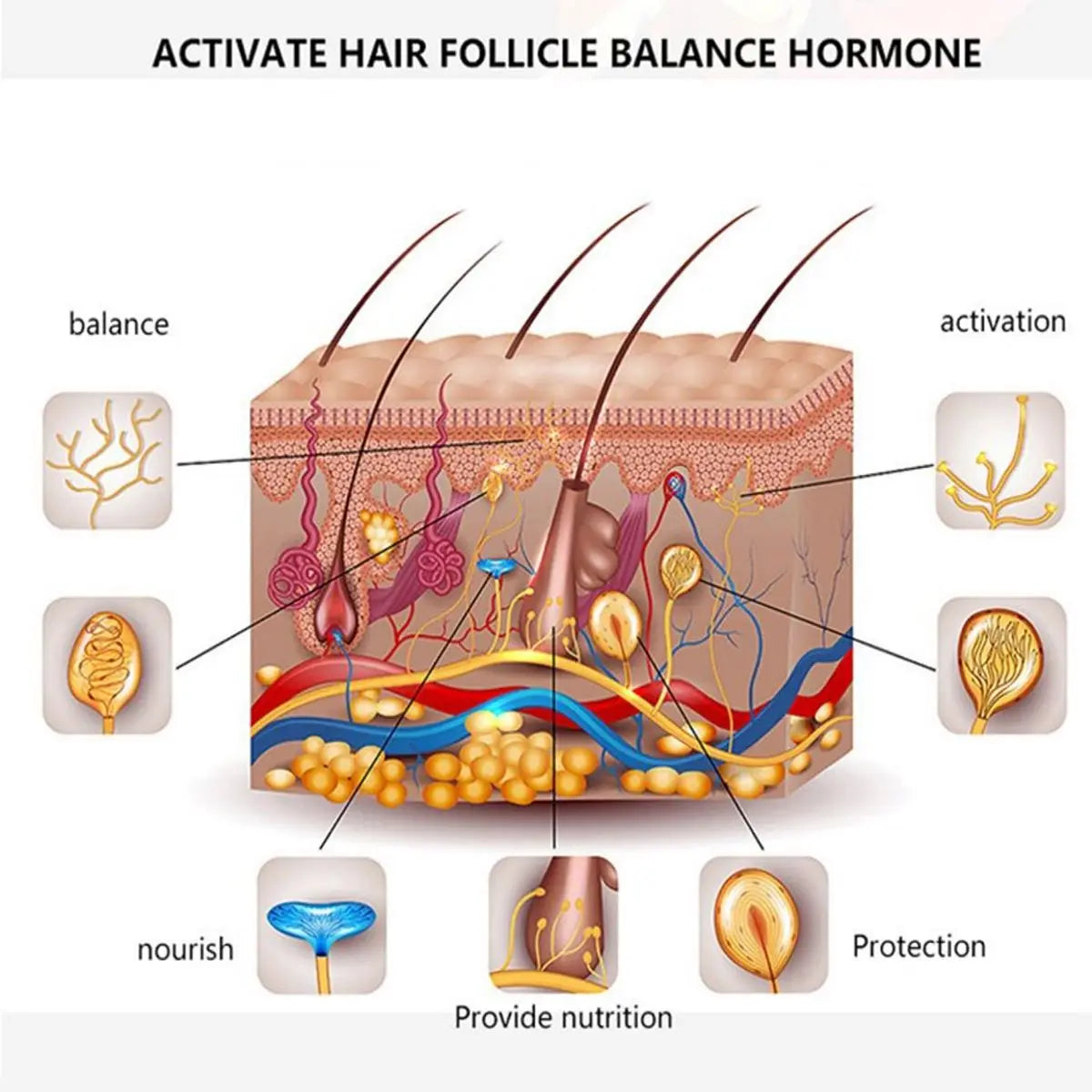Beard Growth Natural Oil